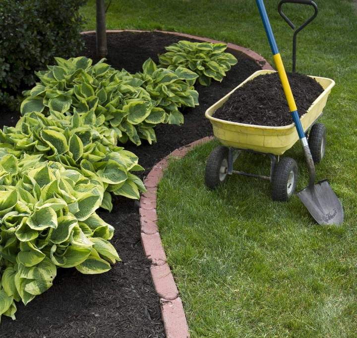 Création de jardins et aménagements sur mesure.